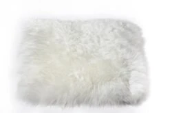 GOF Lampaantalja Istuinpehmuste Vedenpitävällä Taustalla Australia 37x37 Cm Luon